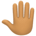 🤚🏽 raised back of hand: medium skin tone display on Facebook